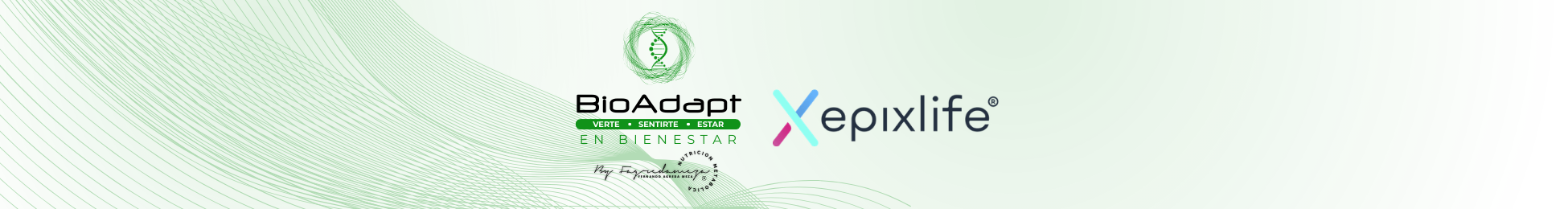 Header Epixform Well